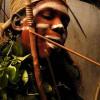 Ibogaine is used by the Bwiti tribe in Gabon